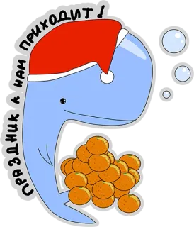 😍 ПРИХОДИТ! ПРАЗДНИК К НАМ wieloryb, czapka mikołaja, pomarańcze, zima, święto, obchody, nowy rok telegram sticker