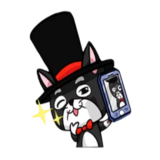 📱 gato, cartola, gravata borboleta, selfie, desenho animado, caprichoso telegram sticker