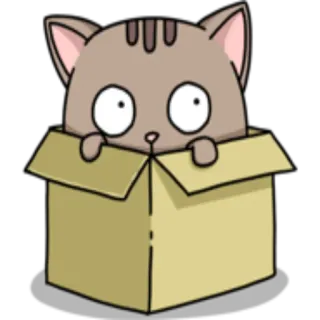 🙄 gatto, scatola, animale, gattino, animale domestico, carino whatsapp sticker