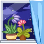 🌠 fenêtre, fleurs, plantes, nuit, ville, rideau telegram sticker