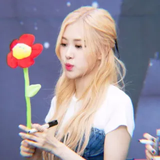 🍤 Rose kpop, cantor, idol, rosa, blackpink, flor telegram sticker