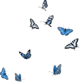 🦋 蝴蝶, 蓝色, 昆虫, 自然, 图案, 飞行 telegram sticker