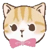 🐱