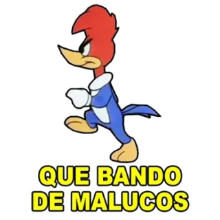🤪 Woody Woodpecker QUE BANDO DE MALUCOS cartoon, woody woodpecker, funny, angry, meme telegram sticker