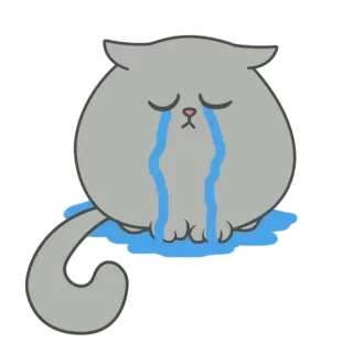 😭 고양이, 울음, 슬픔, 눈물, 만화, 동물 telegram sticker
