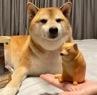 ❤️ dog, shiba inu, meme, cheems, doge, pet telegram sticker