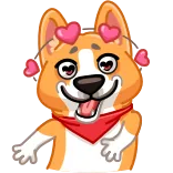 😍 คอร์กี้, หมา, หัวใจ, สัตว์, น่ารัก, สติกเกอร์ telegram sticker