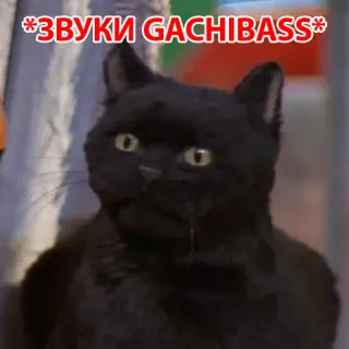 😙 *ЗВУКИ GACHIBASS* 猫, ミーム, gachibass, 面白い telegram sticker