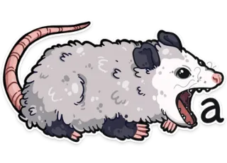 🅰️ a Опоссум, Животное, Милый, Мультик, Сумчатый whatsapp sticker