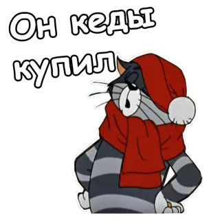 😜 Он кеды купил แมว, การ์ตูน, ฤดูหนาว, หมวก, ผ้าพันคอ, รัสเซีย telegram sticker