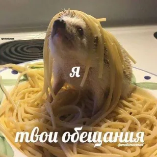 🤬 Я твои обещания Landak, Spaghetti, Meme, Lucu, Imut, Janji telegram sticker