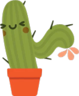 😏 cactus, pianta, fiore, carino, kawaii, natura telegram sticker