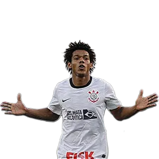 👐 SOS MATA ATLANTICA fútbol, fútbol, deportes, atleta, Brasil whatsapp sticker