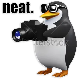 📷 neat. penguin, camera, cool, sunglasses, animal telegram sticker