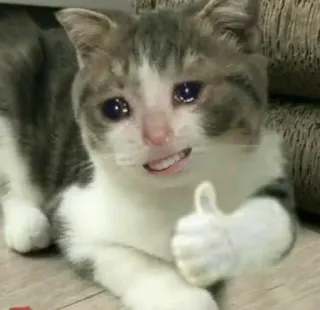 👍 кот, плачущий, палец вверх, мем, смешной, эмоциональный, ироничный telegram sticker