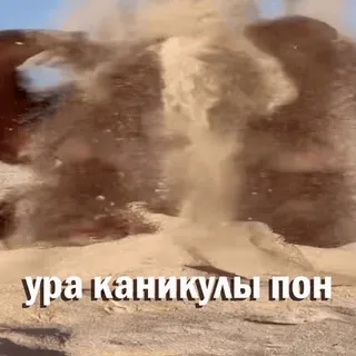 🌅 ура каникулы пон whatsapp sticker