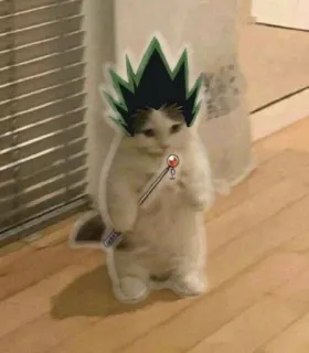 🎣 Gon Freecss Hunter x Hunter cat, anime, hunter x hunter, gon freecss, meme, sticker telegram sticker