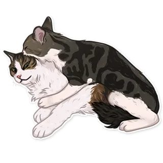 😅 gatto, gatti, sticker, carino, animali, felino, animale domestico telegram sticker