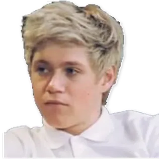😐 Niall Horan Niall Horan, One Direction, musicien, chanteur, célébrité, cheveux blonds telegram sticker