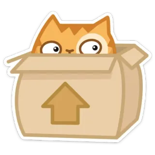 😦 gato, caixa, animal, adesivo, desenho animado, fofo telegram sticker