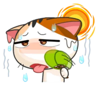 ☀ chat, transpiration, chaud, épuisé, dessin animé, animal, emoji whatsapp sticker
