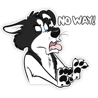 ✋ NO WAY! cachorro, surpreso, animal, desenho animado, chocado whatsapp sticker