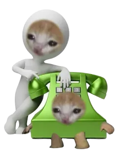 📞 猫, 电话, 梗, 搞笑, 贴纸 telegram sticker