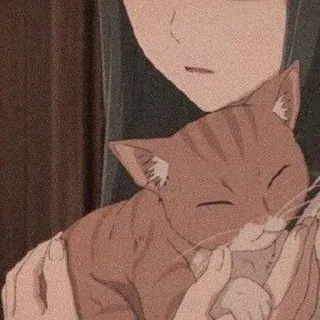 😽 gatto, anime, ragazza, carino, animale domestico, animale, kawaii telegram sticker