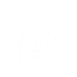 🔒