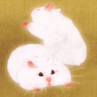🐹 hamster, animal, cute, pet, rodent, white telegram sticker