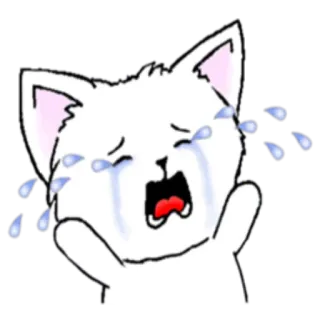 😭 chat, pleurer, triste, larmes, dessin animé telegram sticker