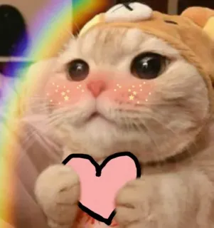 💕 cat, kitten, animal, heart, cute, kawaii, love telegram sticker