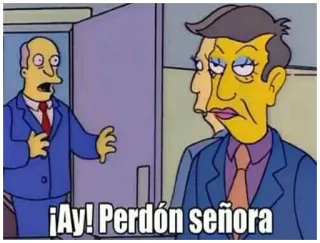 👛 ¡Ay! Perdón señora The Simpsons, meme, funny, cartoon telegram sticker