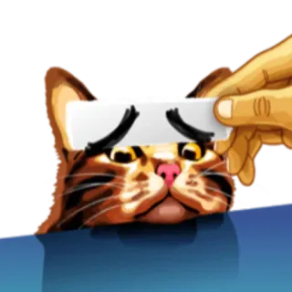 😕 кот, животное, грустный, мем whatsapp sticker