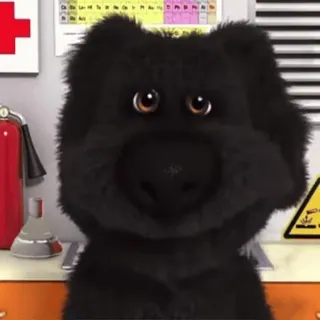 😁 Tier, Schwarz, Bär, Cartoon, Süß whatsapp sticker
