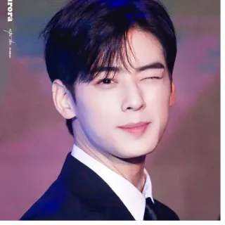 😉 Cha Eun-woo acteur, kpop, idol, beau, homme, clin d'oeil whatsapp sticker