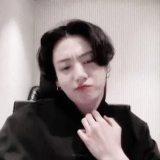 🐰 whatsapp sticker