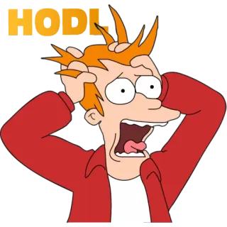 😒 Fry Futurama HODL HODL, Мем, Крипто, Нервный, Паника, Фрай, Футурама telegram sticker