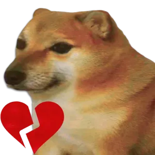 🐶 Doge doge, หมา, อกหัก, มีม, เศร้า, อกหัก whatsapp sticker