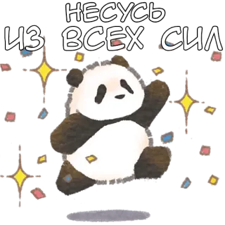 🏃‍♂‍➡️ НЕСУСЬ ИЗ ВСЕХ СИЛ 熊猫, 可爱, 星星, 有趣, 熊, 跑步, 速度 telegram sticker
