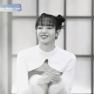 🥯 Lisa лиса, blackpink, k-pop, певица, танцовщица telegram sticker