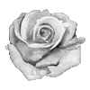 🥀
