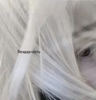 🖕 бездарность texte, portrait, visage, cheveux telegram sticker