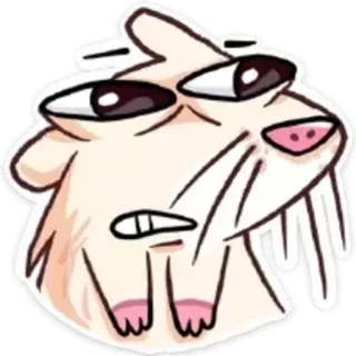 😬 rongeur, hamster, drôle, mème, dessin animé, animal, mignon telegram sticker