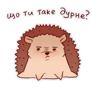 😡 ЩО ТИ ТАКЕ ДУРНЕ? ouriço, animal, fofo, engraçado telegram sticker