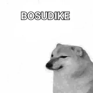 🙂 BOSUDIKE doge, meme, anjing, bosudike, meme internet, lucu whatsapp sticker