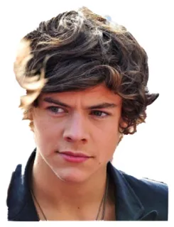 😉 Harry Styles celebrity, singer, actor, portrait, harry styles telegram sticker