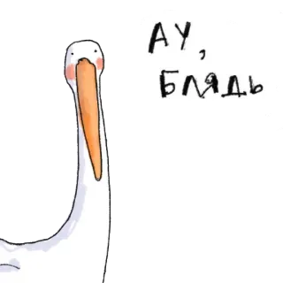 ❓ АУ, БЛЯДЬ 새, 펠리컨, 동물, 러시아어, 슬랭 telegram sticker