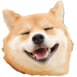 😃 Doge cane, shiba inu, meme, felice, sorridente, doge telegram sticker