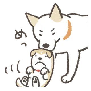 😟 강아지, 동물, 만화, 슬픈, 화난, 분노 telegram sticker